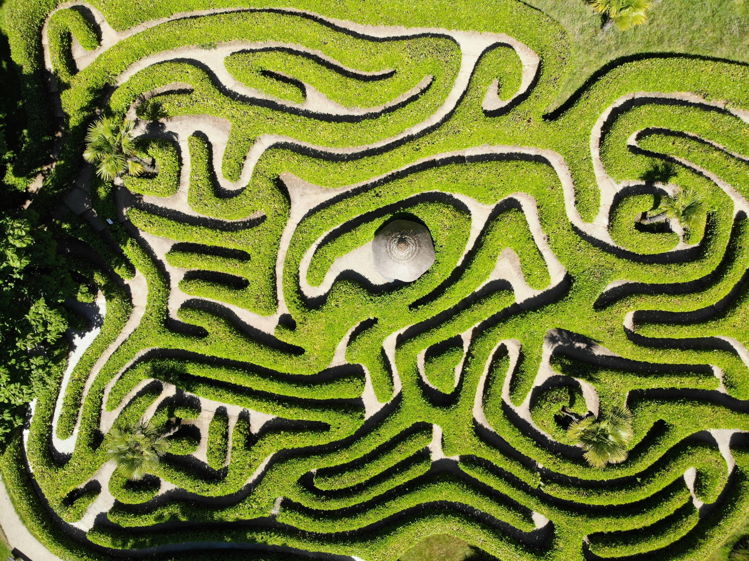 maze does insurance cover ketamine therapy